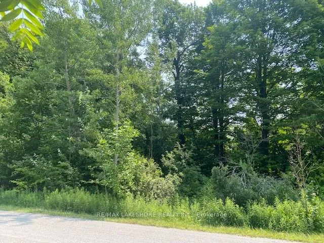 Front of A Pipeline Road