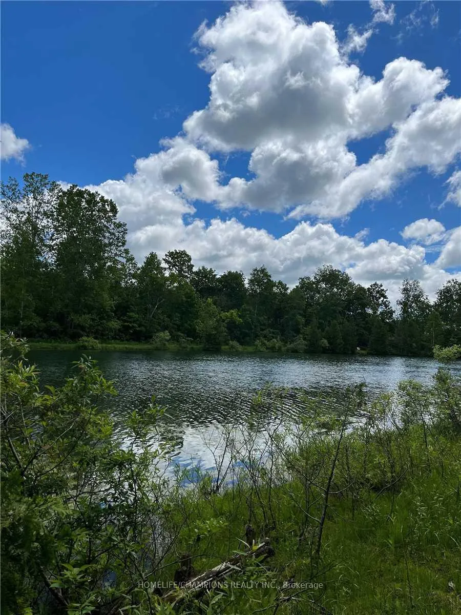 Front of Unit Lot#117, 248 Pinnacle Hill Road
