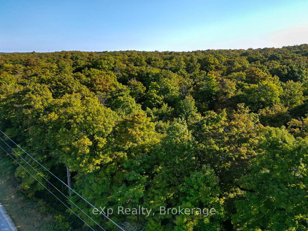 Photo 1 of PT LT 8 4th Line, Blue Mountains — HOMEH