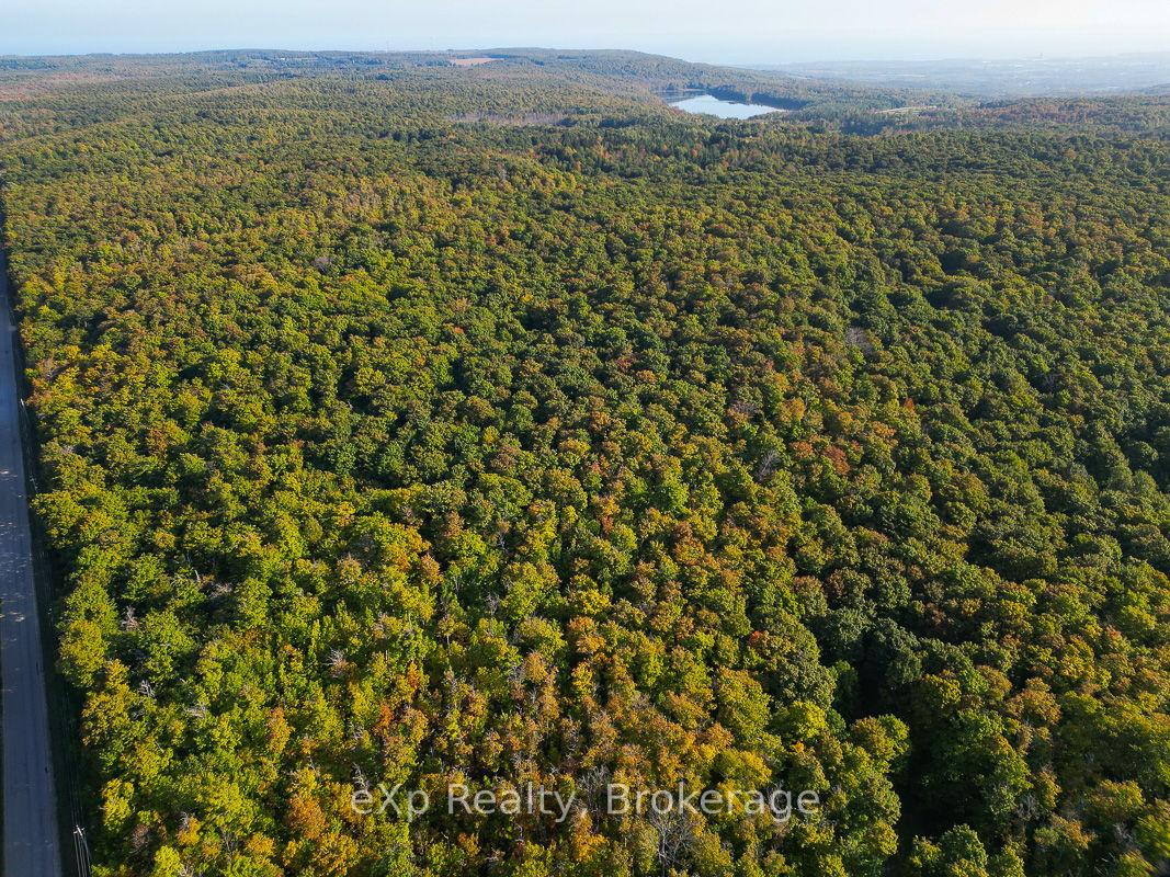 Photo 3 of PT LT 8 4th Line, Blue Mountains — HOMEH