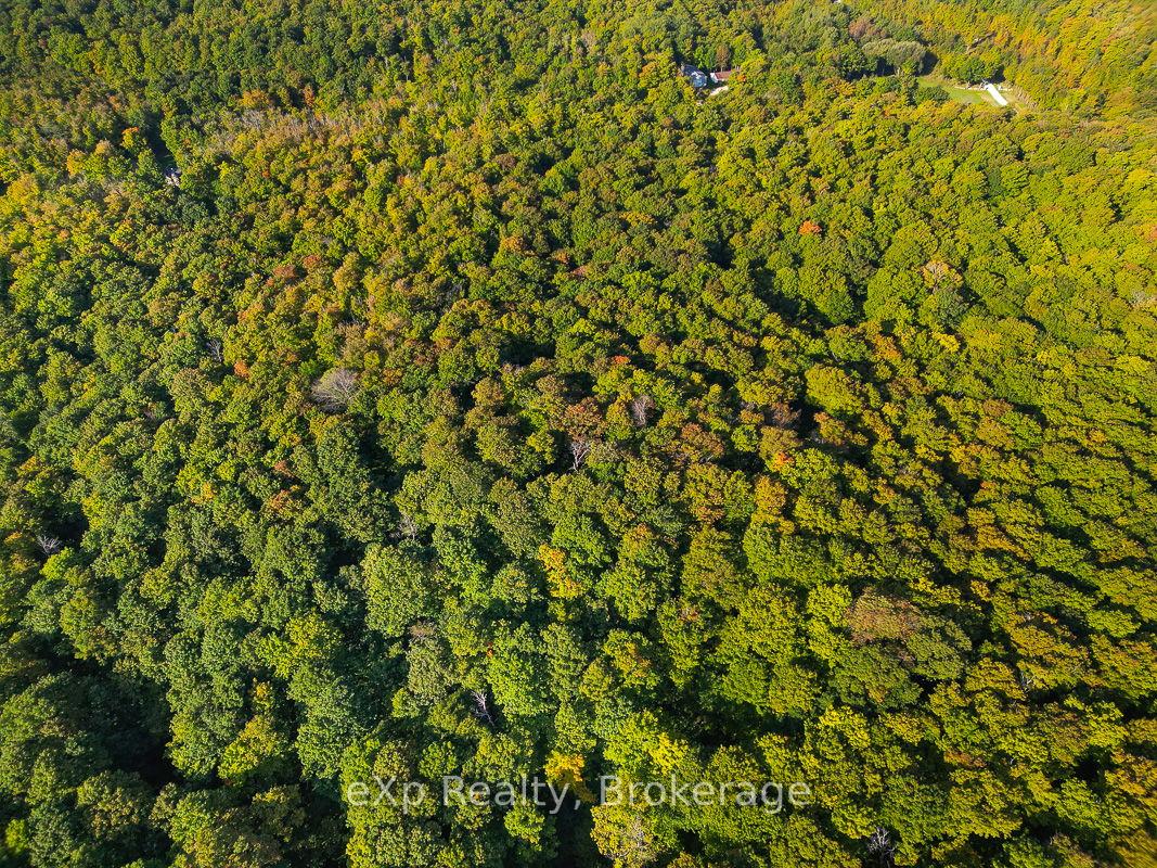 Photo 4 of PT LT 8 4th Line, Blue Mountains — HOMEH