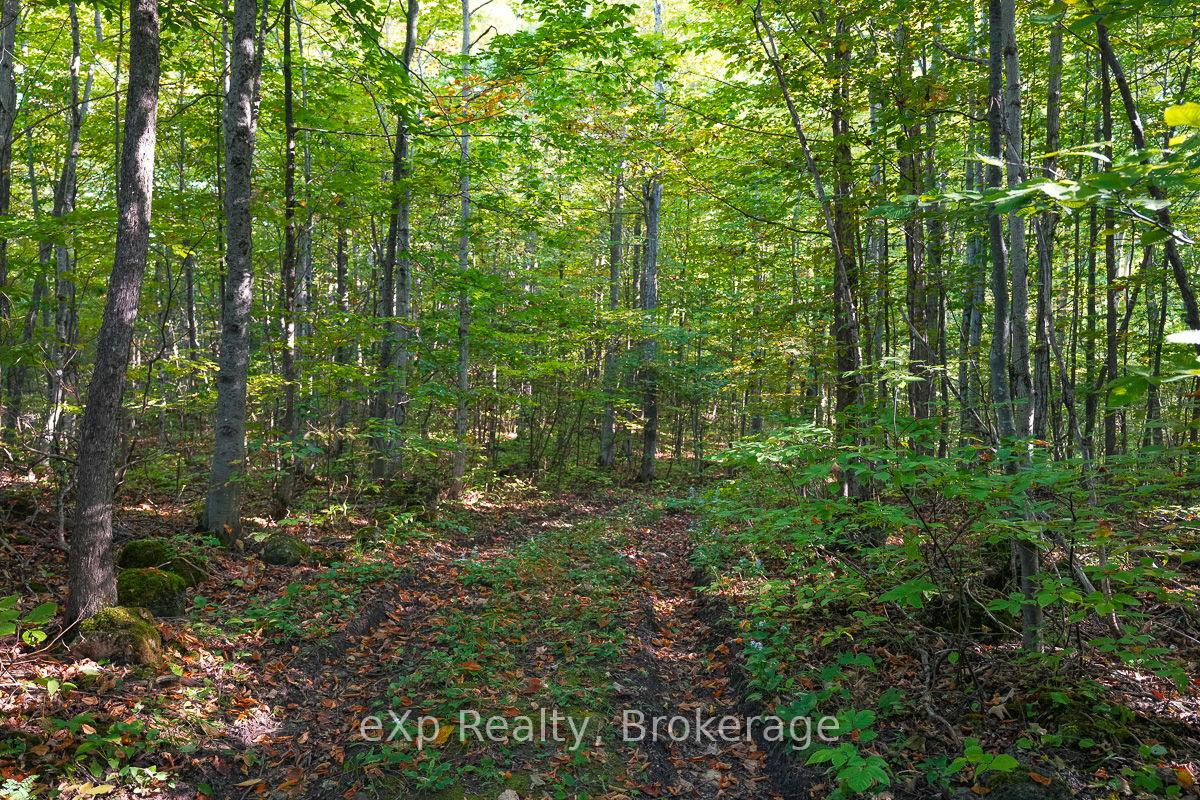 Photo 5 of PT LT 8 4th Line, Blue Mountains — HOMEH
