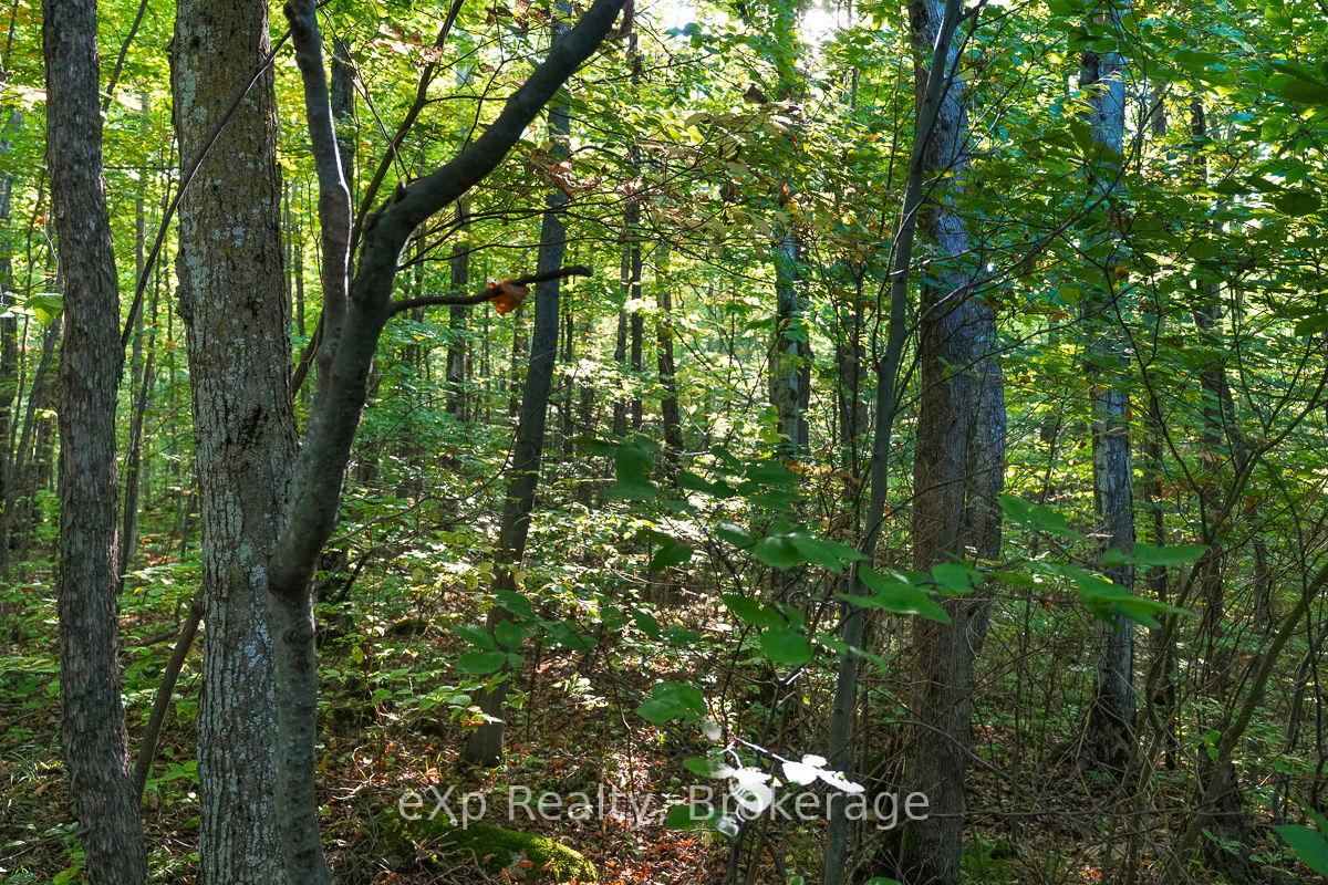 Photo 6 of PT LT 8 4th Line, Blue Mountains — HOMEH