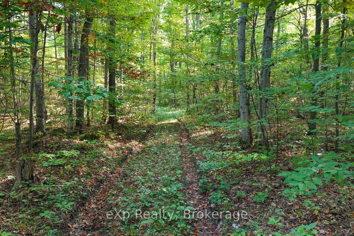 Photo 7 of PT LT 8 4th Line, Blue Mountains — HOMEH