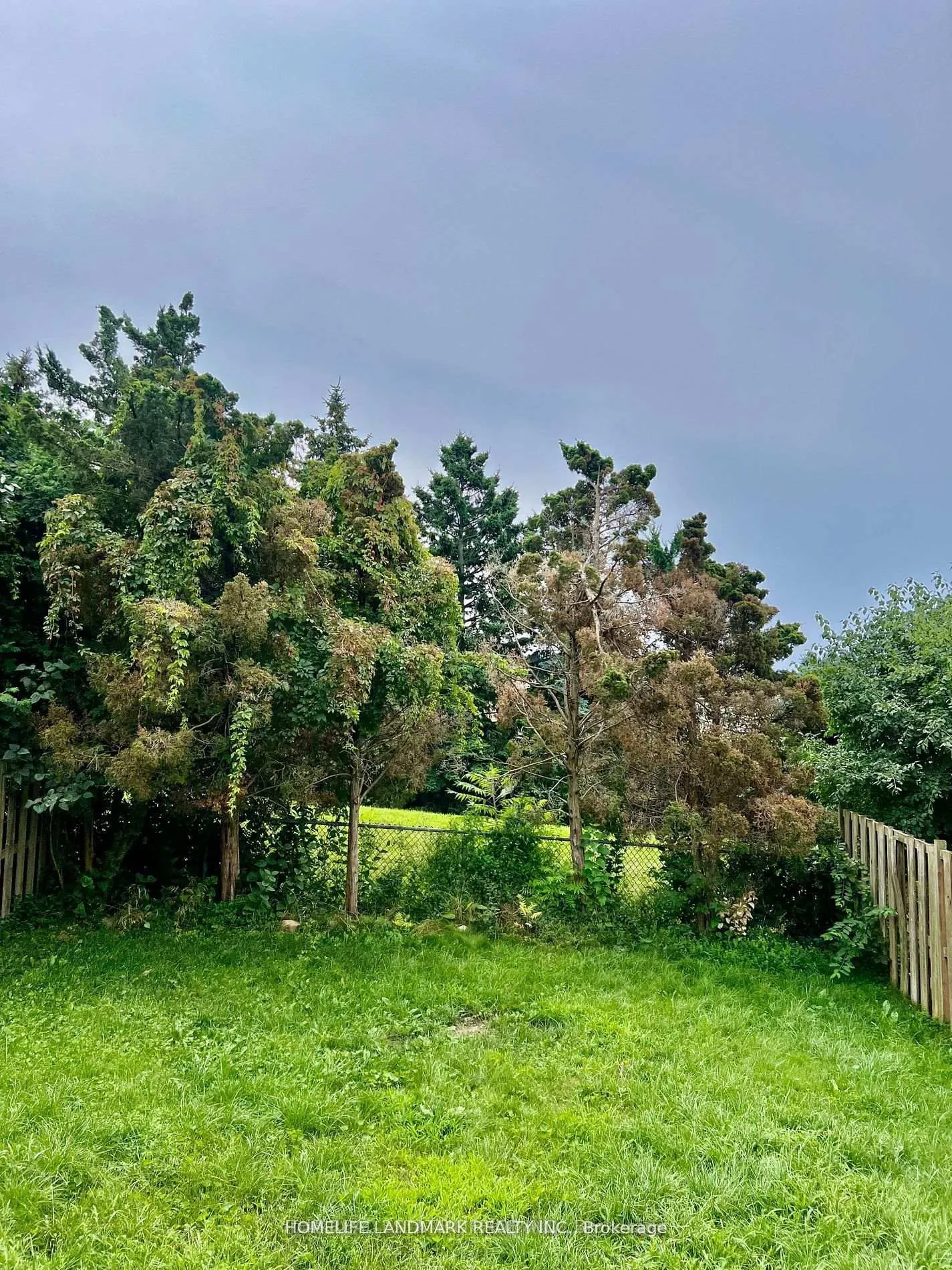 Photo 17 of 59 Kirby Crescent S, Whitby, Blue Grass Meadows — HOMEH