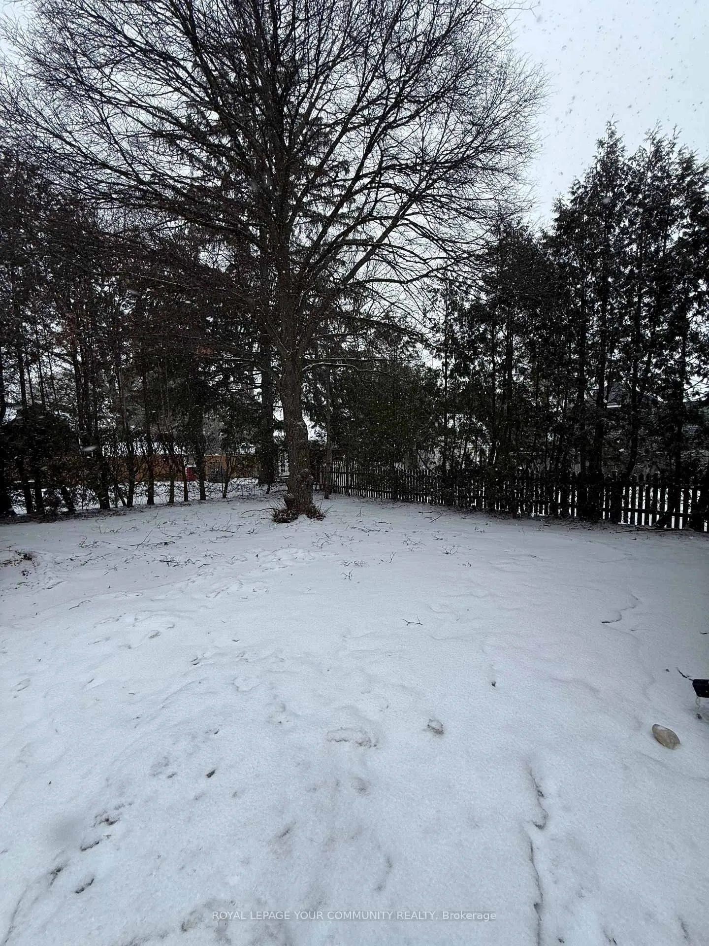 Photo 11 of Unit 1, 88 Spruce Street, Aurora, Aurora Village — HOMEH