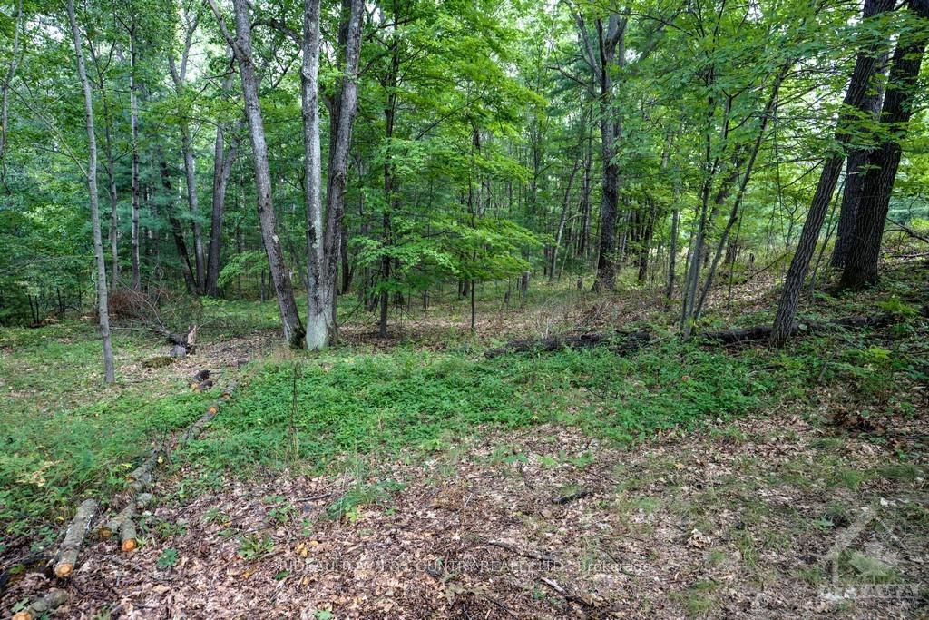 Photo 8 of 106 Archie Street, Ottawa, Constance Bay — HOMEH