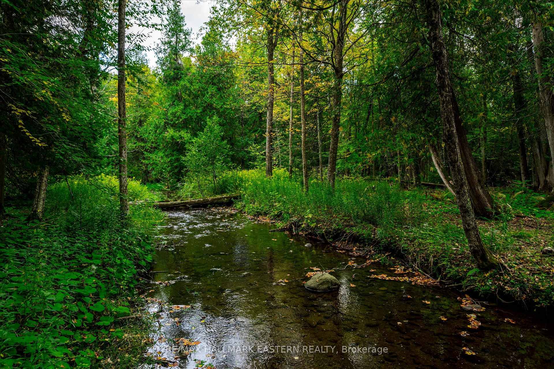 Photo 3 of 1461 Sunset Drive, Cavan Monaghan, Cavan Twp — HOMEH