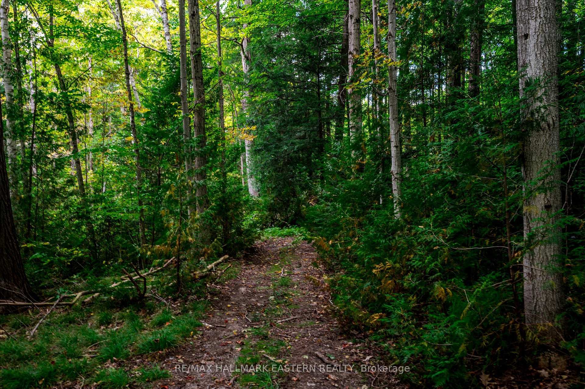 Photo 37 of 1461 Sunset Drive, Cavan Monaghan, Cavan Twp — HOMEH