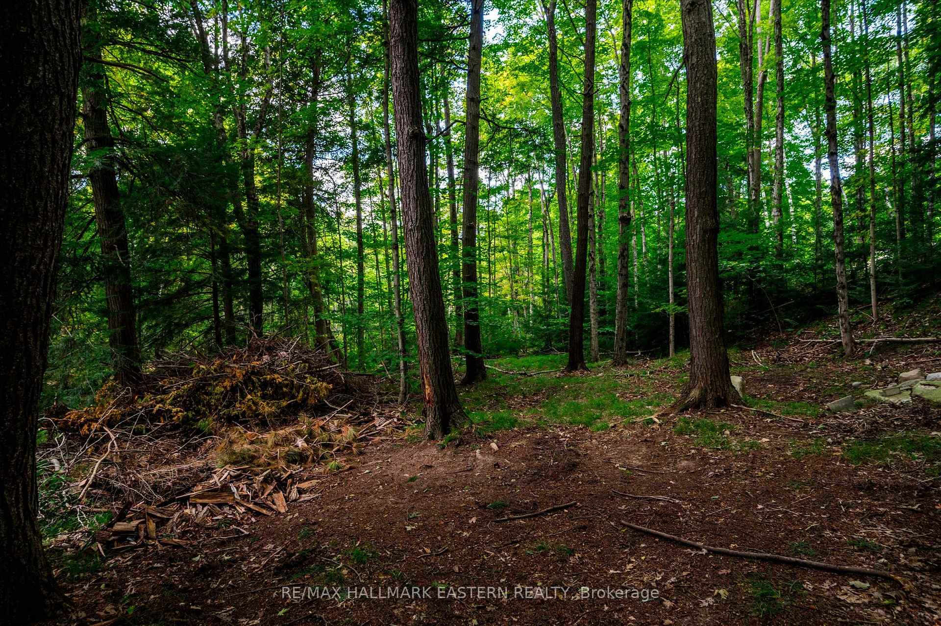Photo 38 of 1461 Sunset Drive, Cavan Monaghan, Cavan Twp — HOMEH