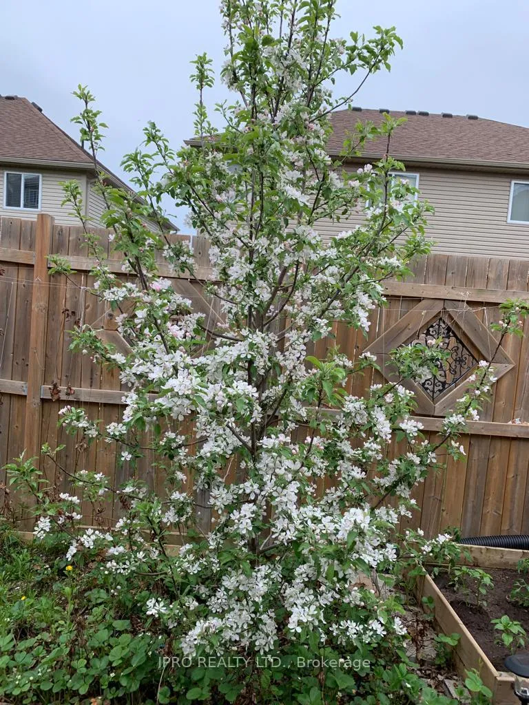 Photo 35 of 79 Oakes Crescent, Guelph, Grange Road — HOMEH