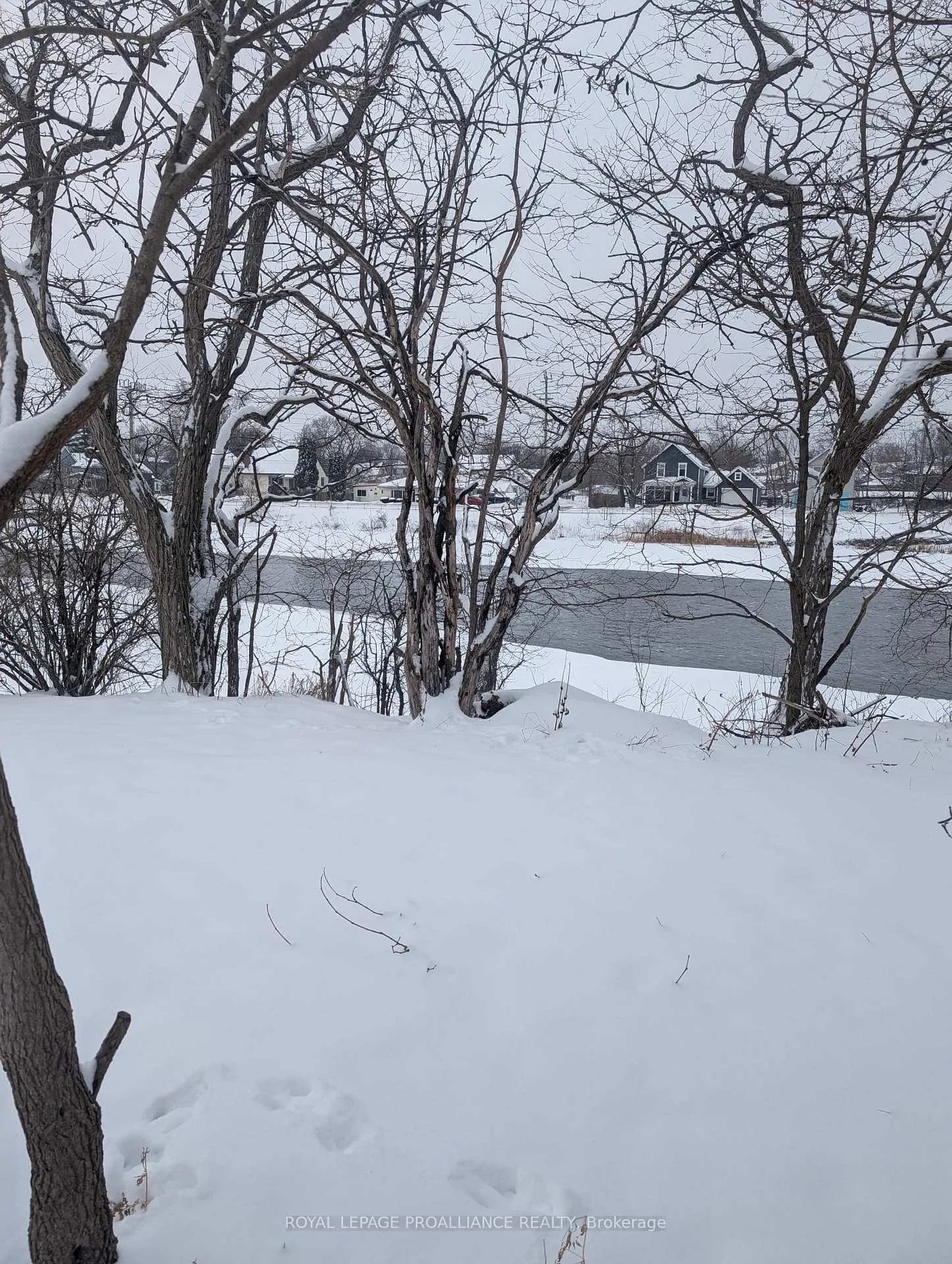 Photo 42 of 18 Jones Street, Belleville, Belleville Ward — HOMEH