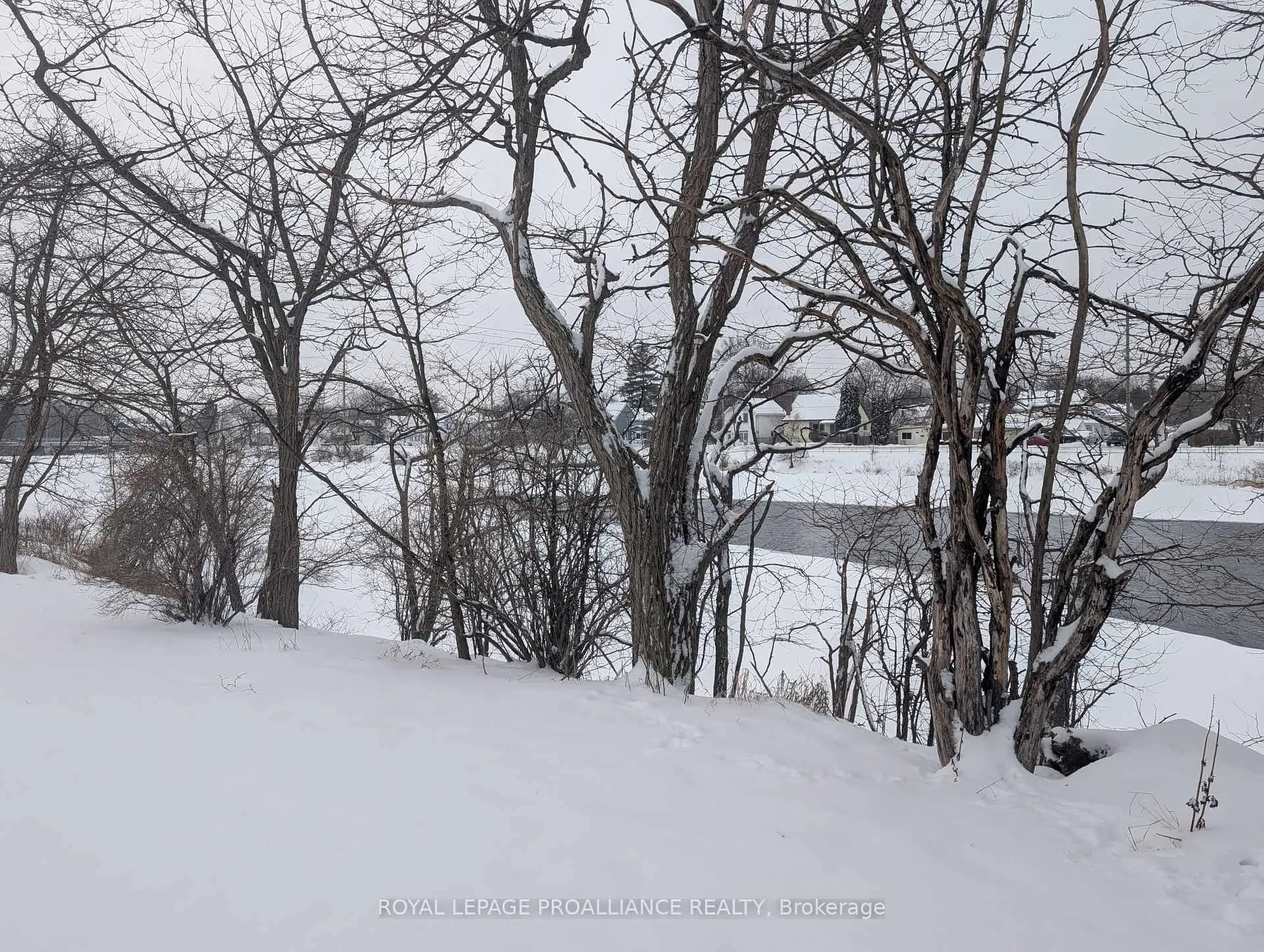 Photo 44 of 18 Jones Street, Belleville, Belleville Ward — HOMEH