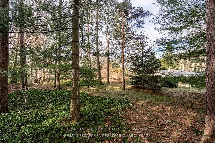 Photo 30 of 56 Mansfield Drive, Hamilton, Ancaster — HOMEH