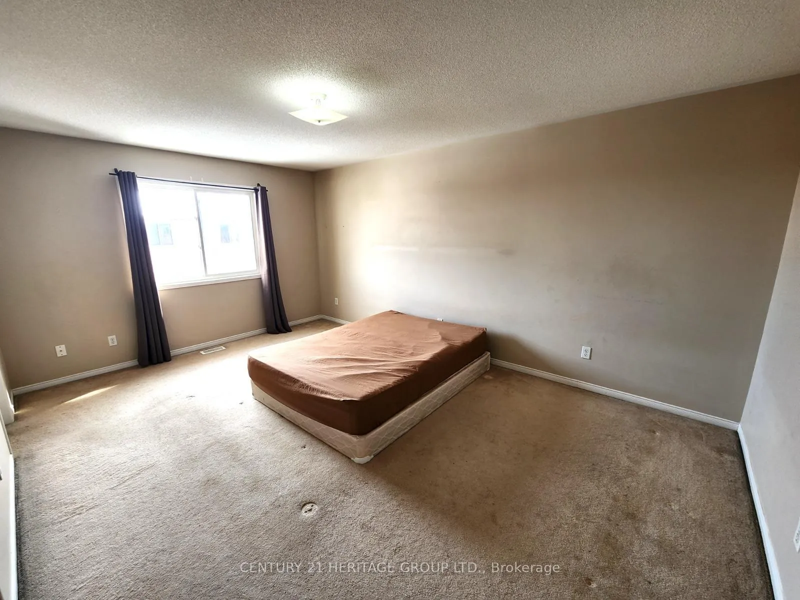 Photo 15 of 93 Hollingsworth Circle, Brampton, Fletcher's Meadow — HOMEH