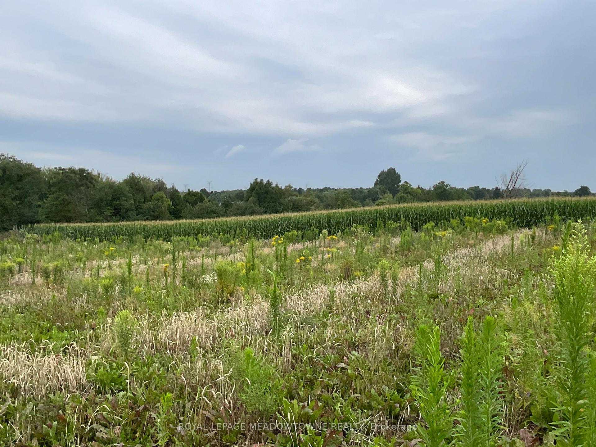 Photo 10 of 5145 Fifth Line, Erin, Rural Erin — HOMEH
