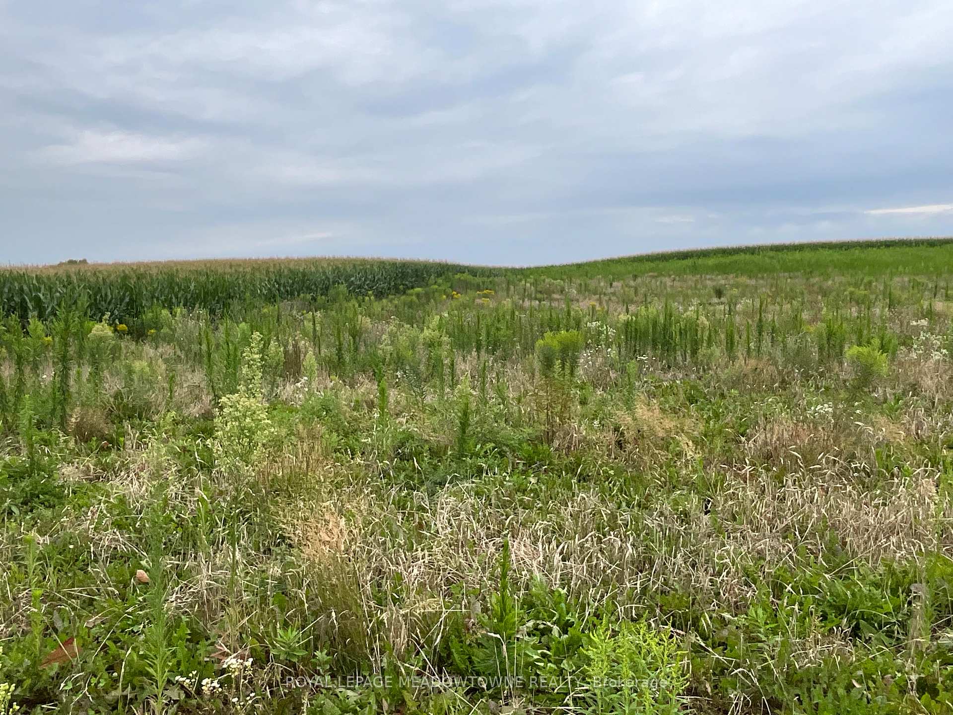 Photo 18 of 5145 Fifth Line, Erin, Rural Erin — HOMEH
