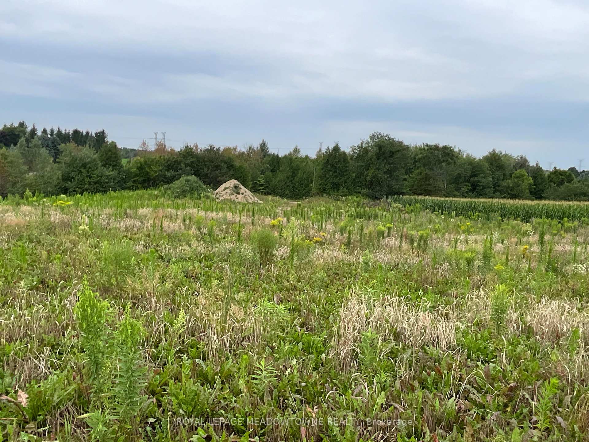 Photo 19 of 5145 Fifth Line, Erin, Rural Erin — HOMEH