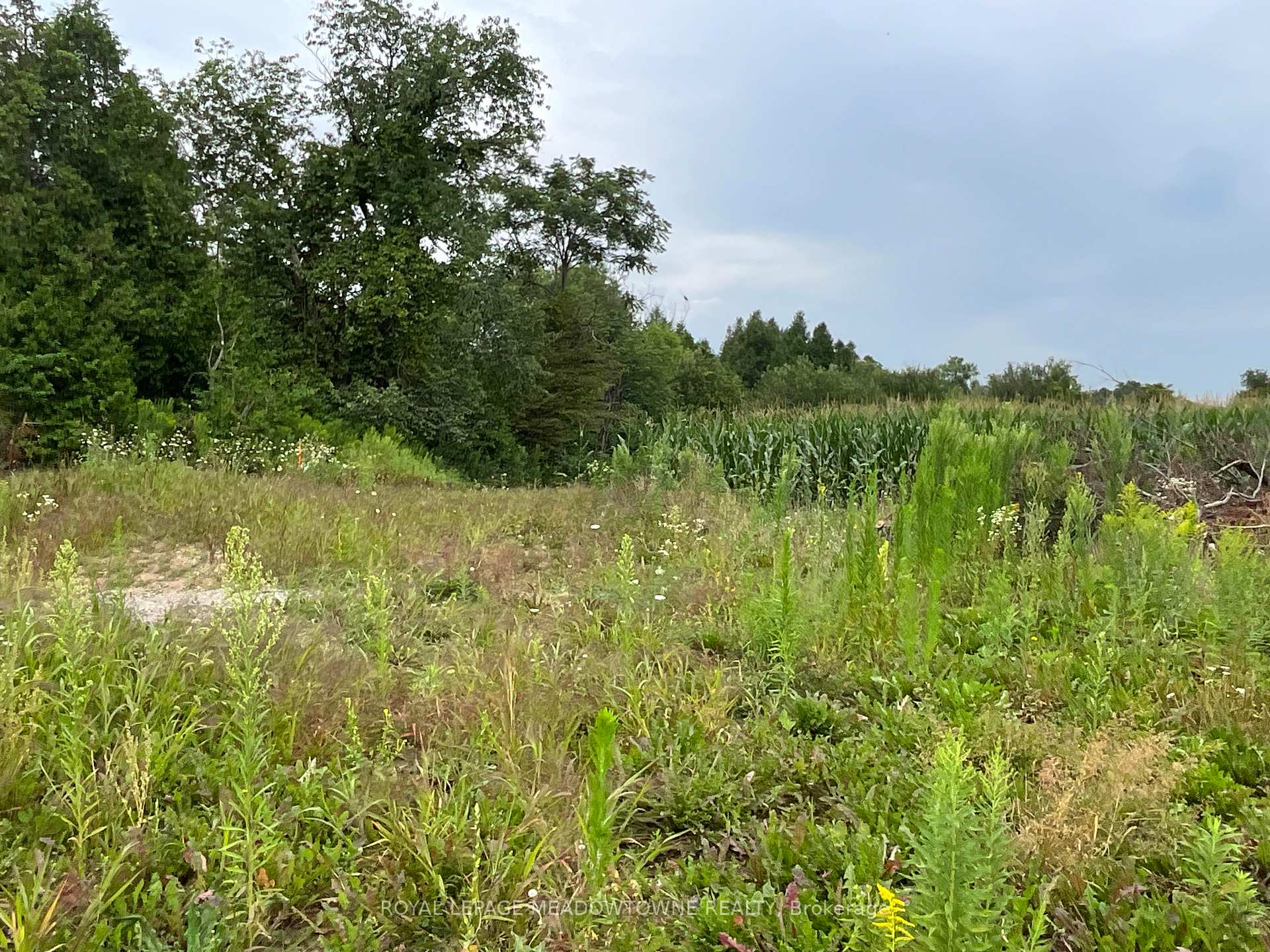 Photo 20 of 5145 Fifth Line, Erin, Rural Erin — HOMEH