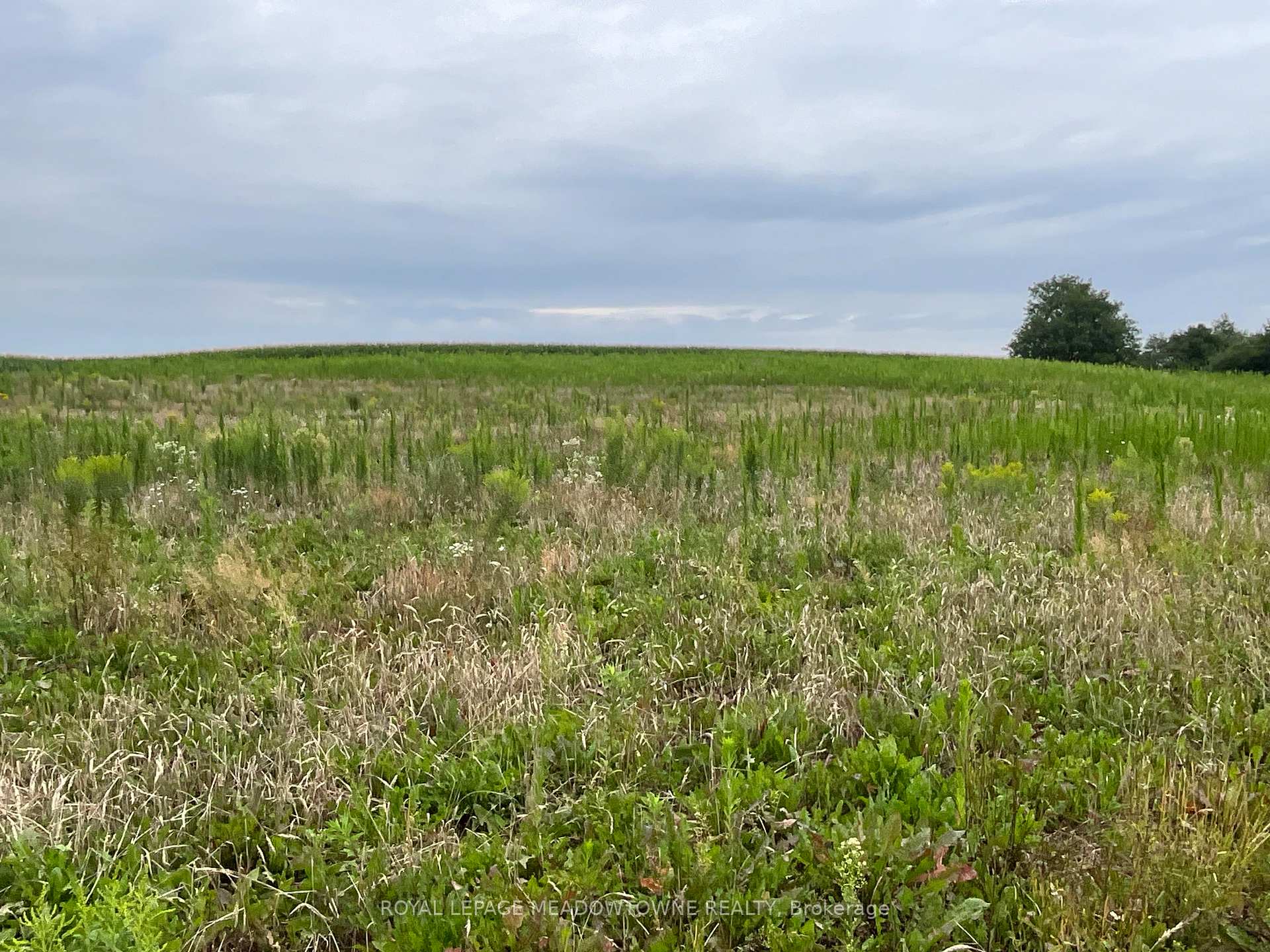 Photo 21 of 5145 Fifth Line, Erin, Rural Erin — HOMEH