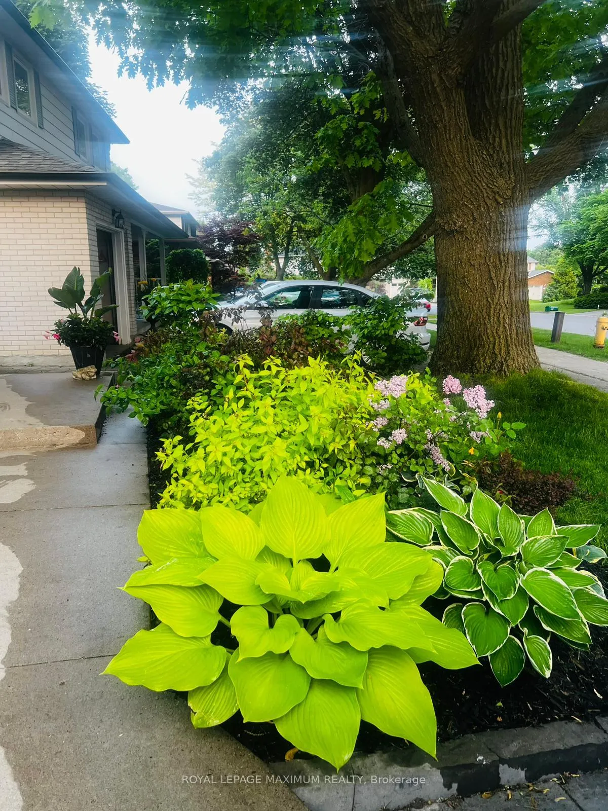 Photo 8 of Unit Bsmt, 41 Knotty Pine Trail, Markham, Royal Orchard — HOMEH