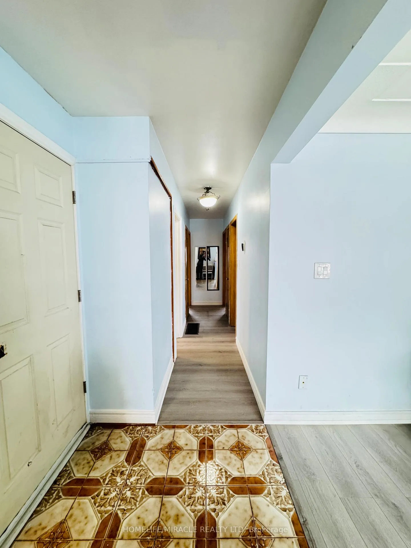 Photo 11 of 20 Terrace Drive, Hamilton, Balfour — HOMEH