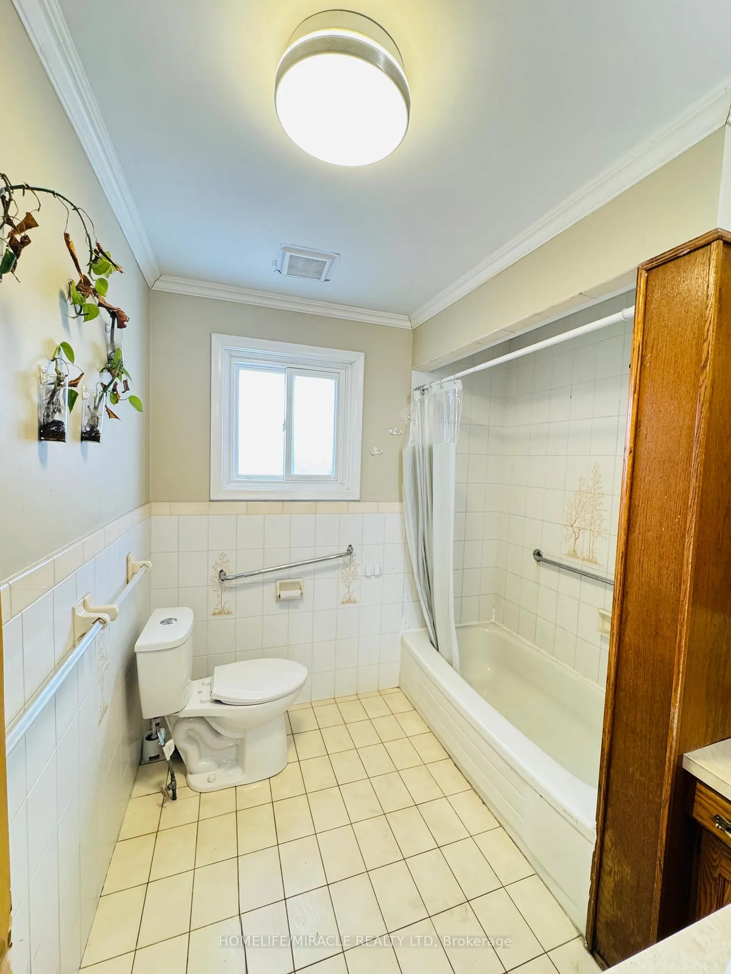 Photo 12 of 20 Terrace Drive, Hamilton, Balfour — HOMEH