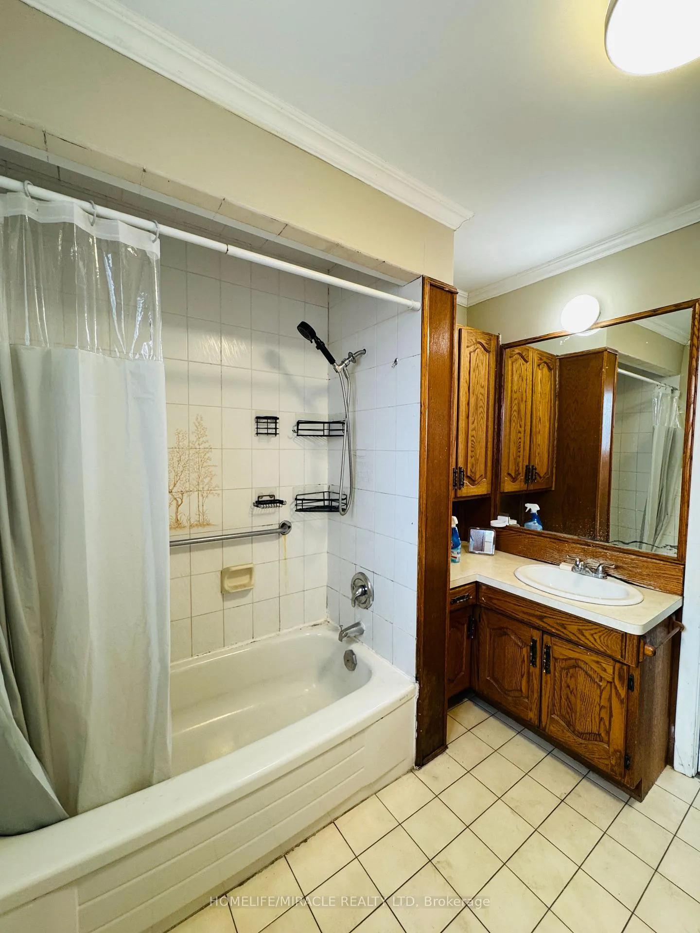 Photo 13 of 20 Terrace Drive, Hamilton, Balfour — HOMEH