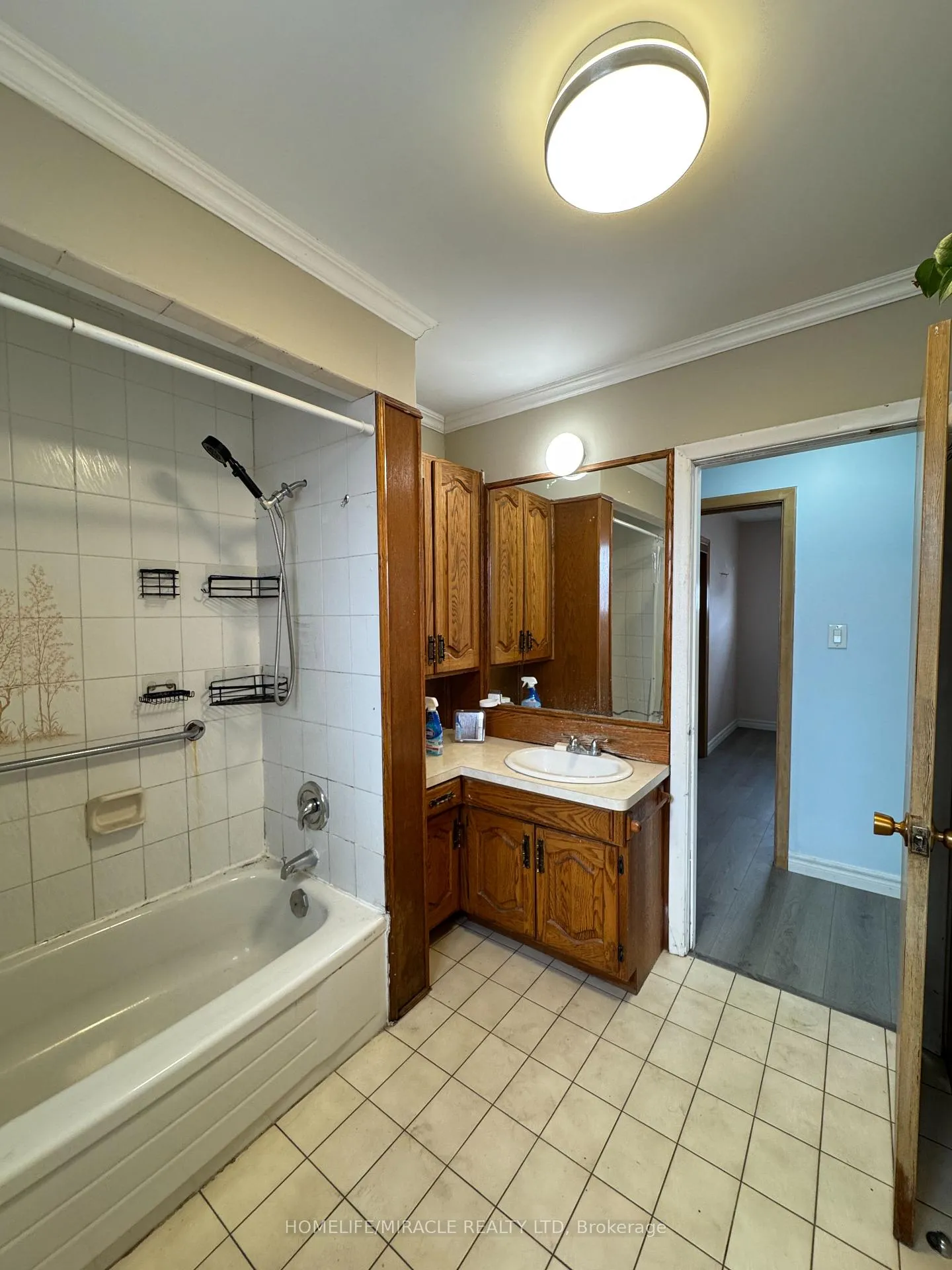 Photo 14 of 20 Terrace Drive, Hamilton, Balfour — HOMEH