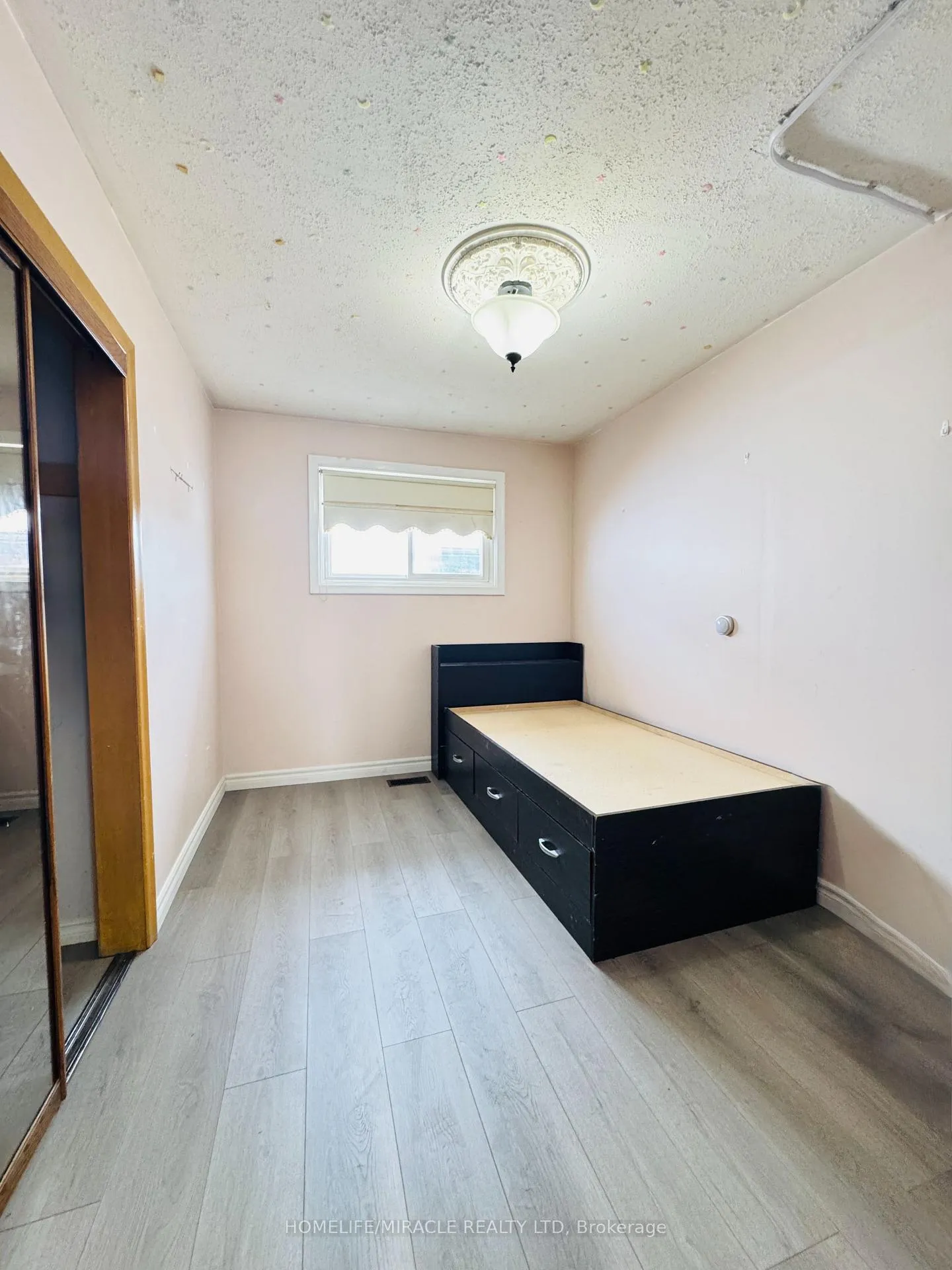 Photo 15 of 20 Terrace Drive, Hamilton, Balfour — HOMEH