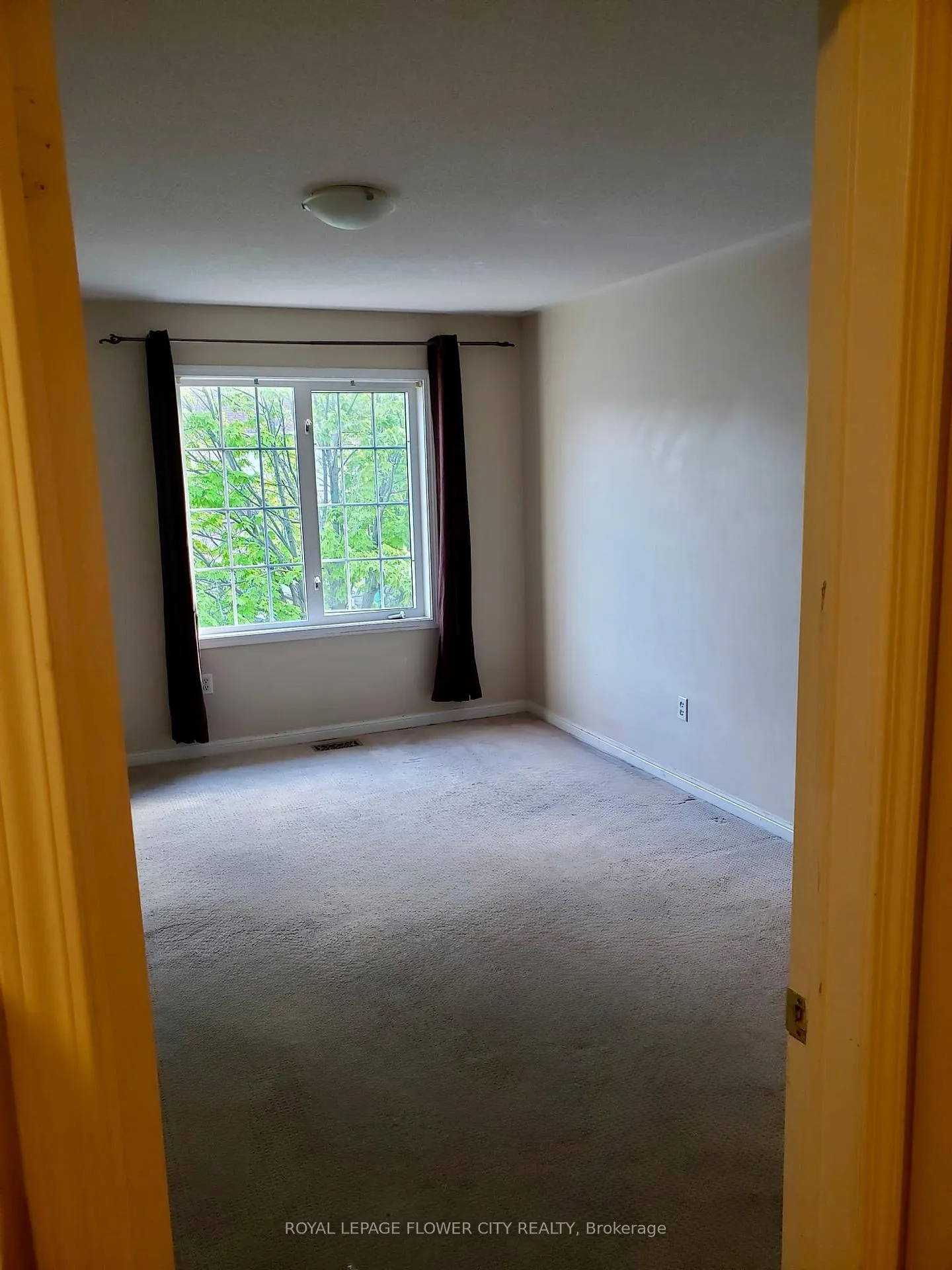 Photo 6 of 74 Tianalee Crescent, Brampton, Fletcher's Meadow — HOMEH
