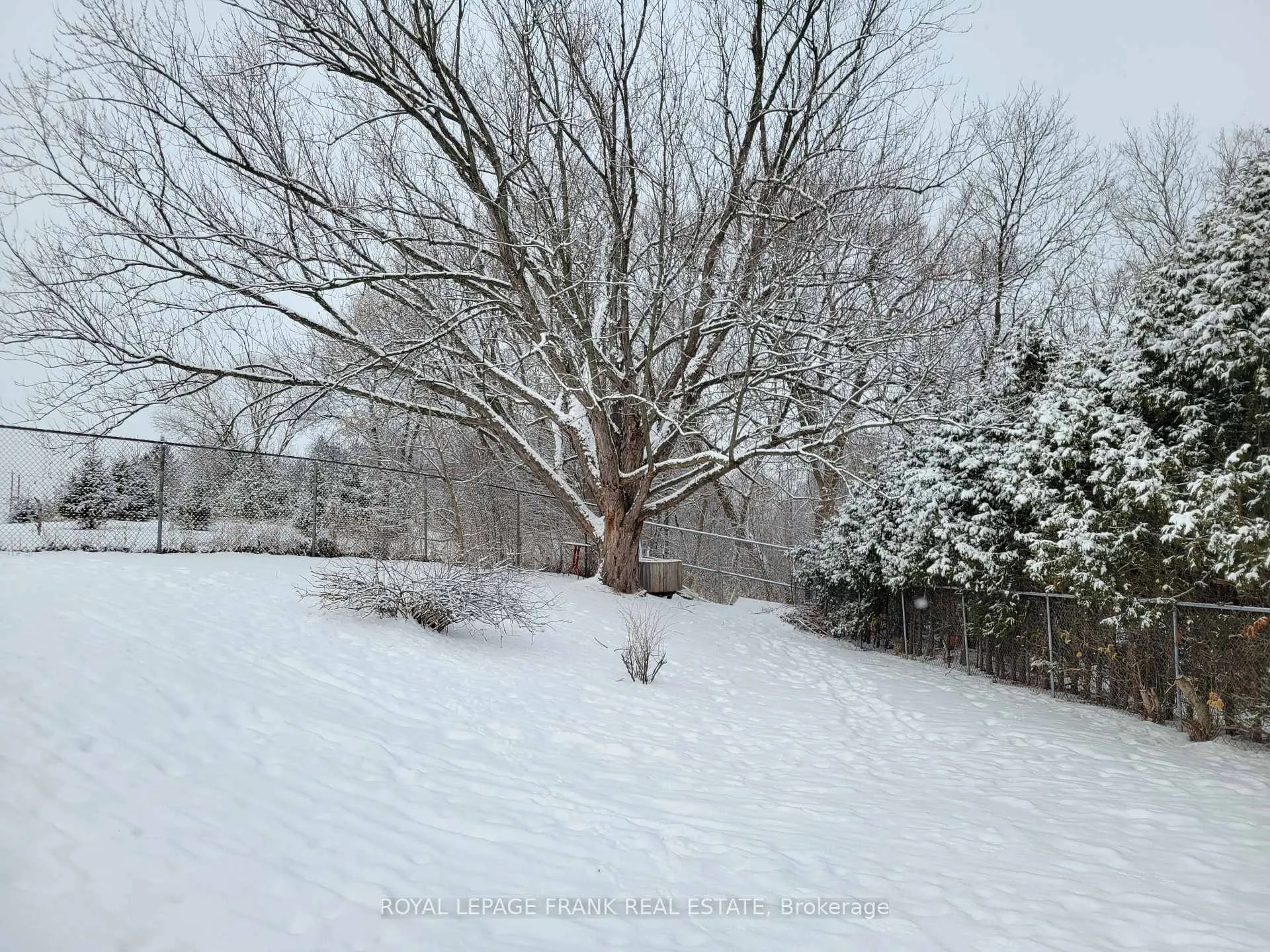 Photo 12 of Unit Basement, 926 Walnut Court, Oshawa, Donevan — HOMEH