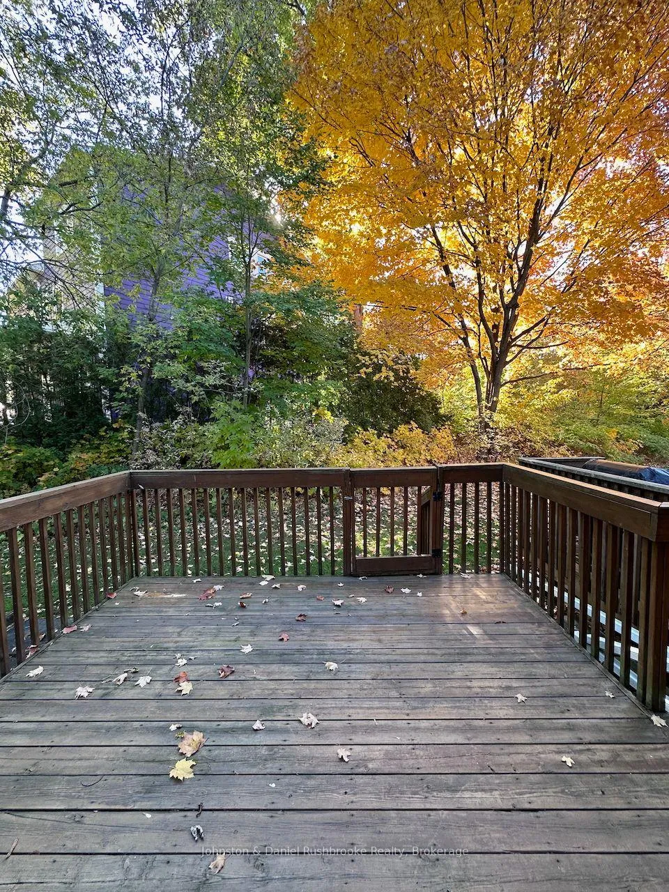 Photo 26 of 93 Shoreline Drive, Bracebridge, Macaulay — HOMEH