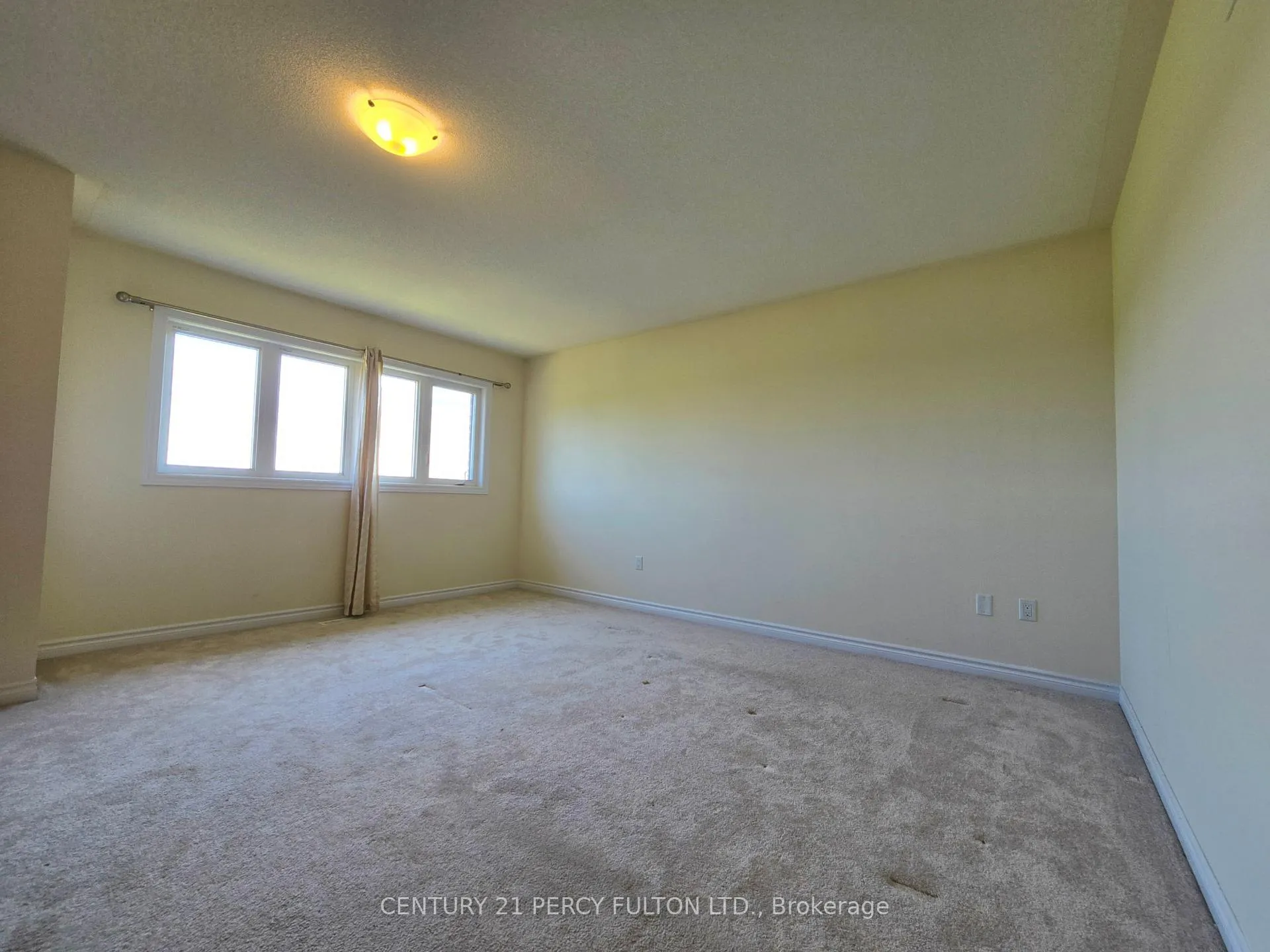 Photo 14 of 124 Terry Clayton Avenue, Brock, Beaverton — HOMEH