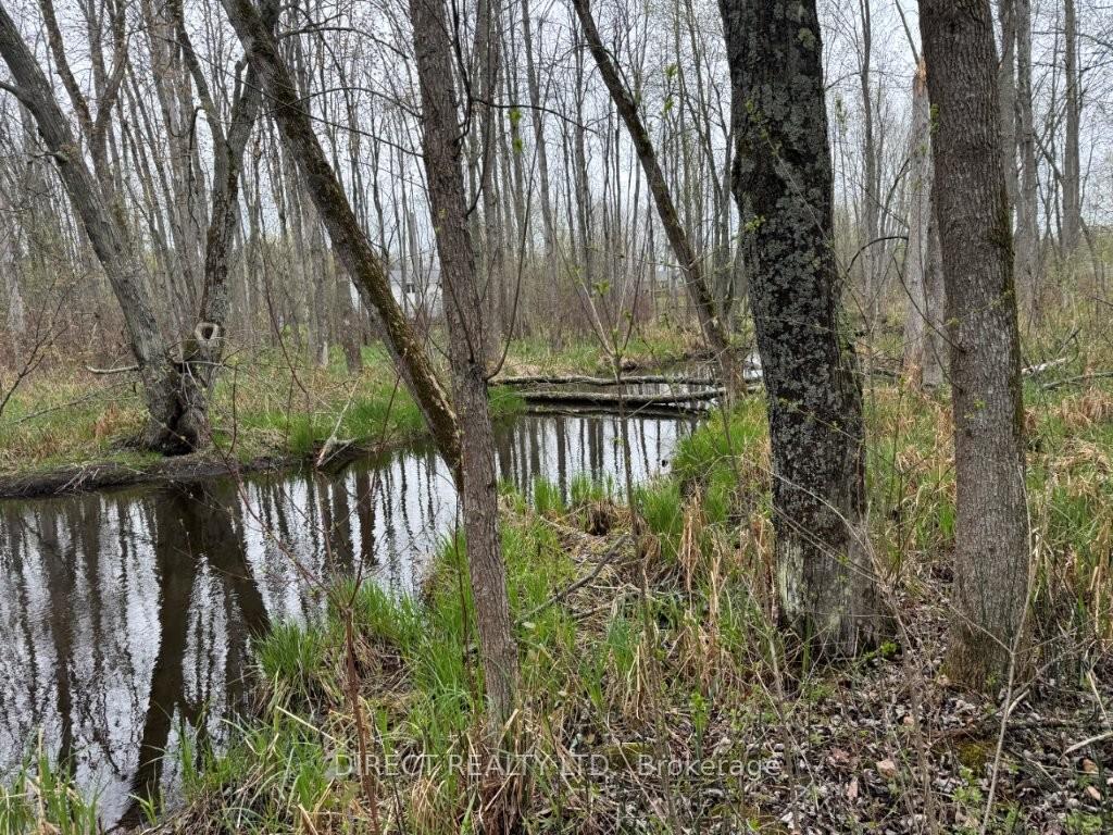 Photo 28 of 513 Old Madoc Road, Belleville, Thurlow Ward — HOMEH