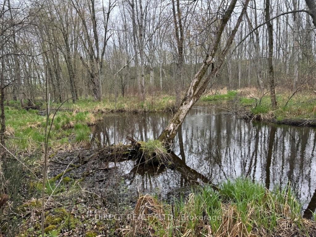 Photo 29 of 513 Old Madoc Road, Belleville, Thurlow Ward — HOMEH