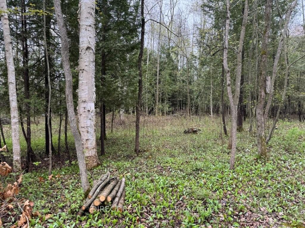 Photo 30 of 513 Old Madoc Road, Belleville, Thurlow Ward — HOMEH