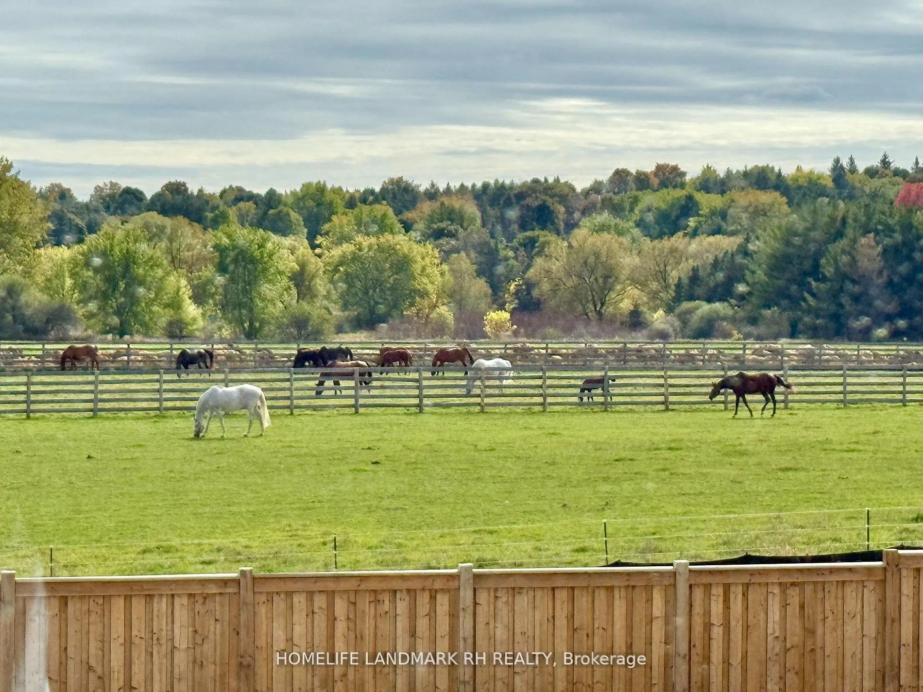 Photo 8 of 163 Berczy Green Drive, Markham, Rural Markham — HOMEH