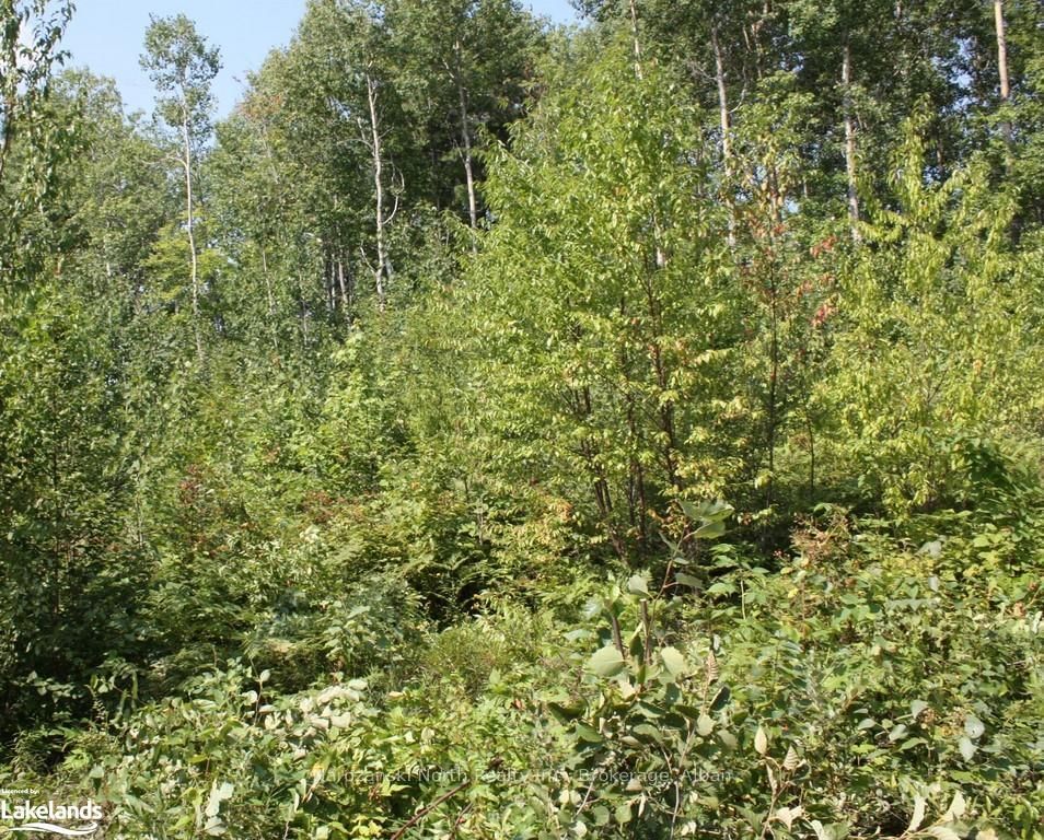 Photo 3 of LOT 6 RIVERVIEW Dr, French River — HOMEH