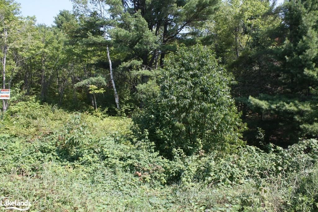 Photo 4 of LOT 6 RIVERVIEW Dr, French River — HOMEH