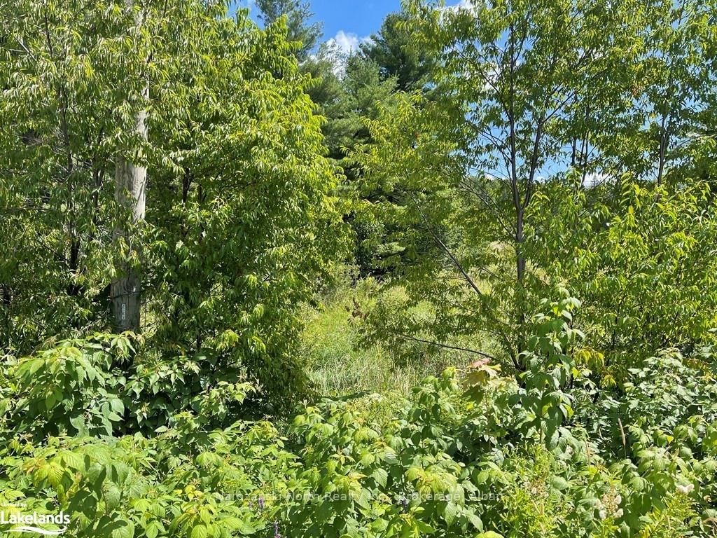 Photo 5 of LOT 6 RIVERVIEW Dr, French River — HOMEH