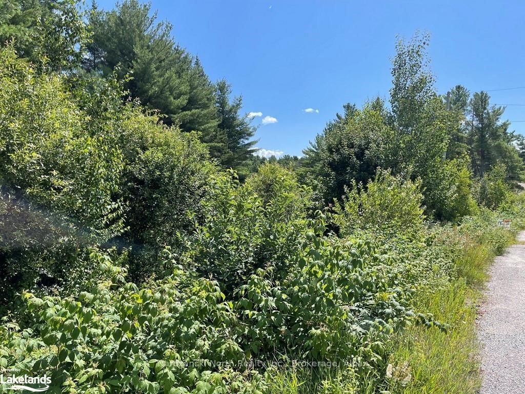 Photo 6 of LOT 6 RIVERVIEW Dr, French River — HOMEH