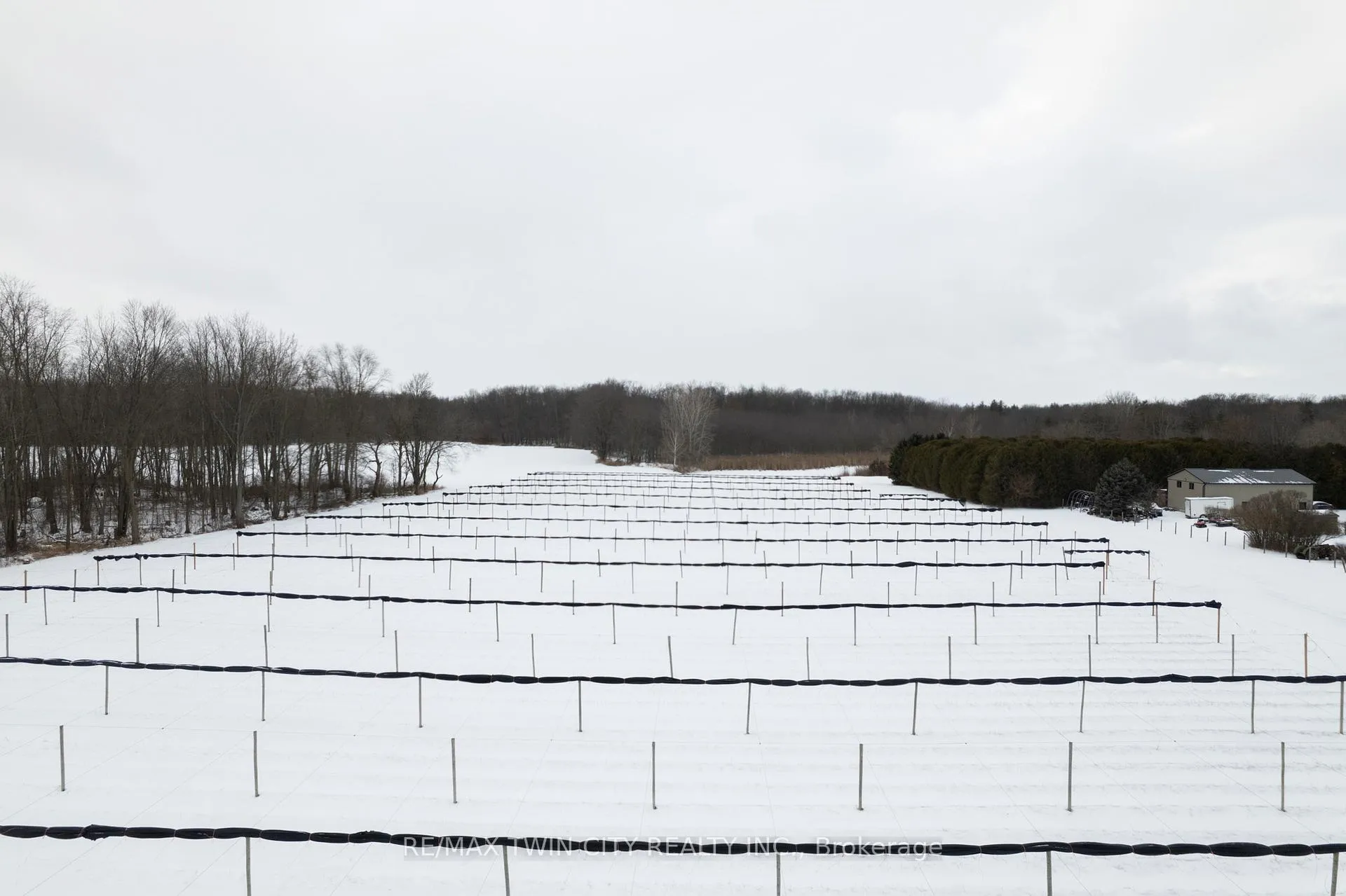 Photo 7 of 159 Golf Links Road, Brant, Burford — HOMEH