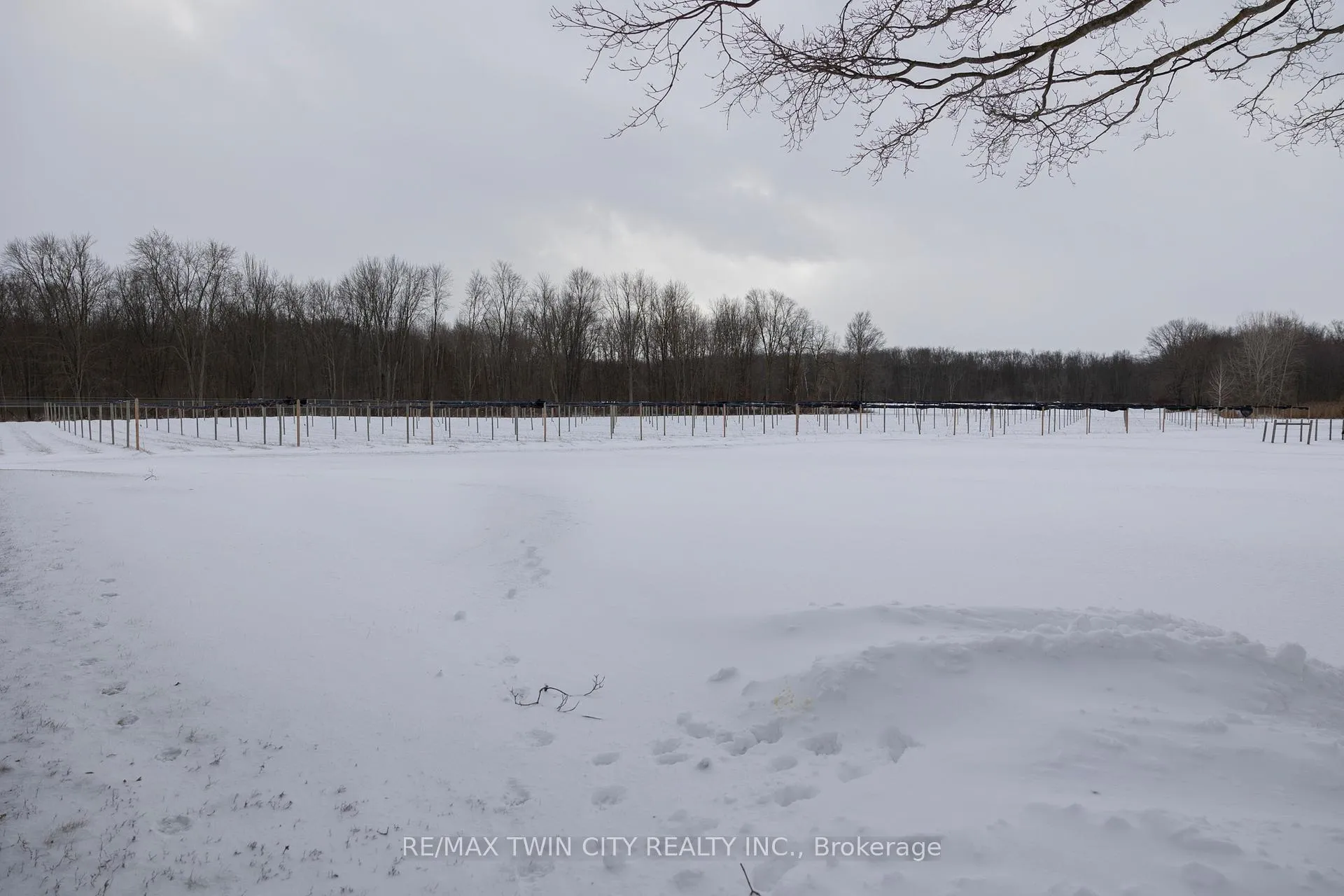 Photo 14 of 159 Golf Links Road, Brant, Burford — HOMEH