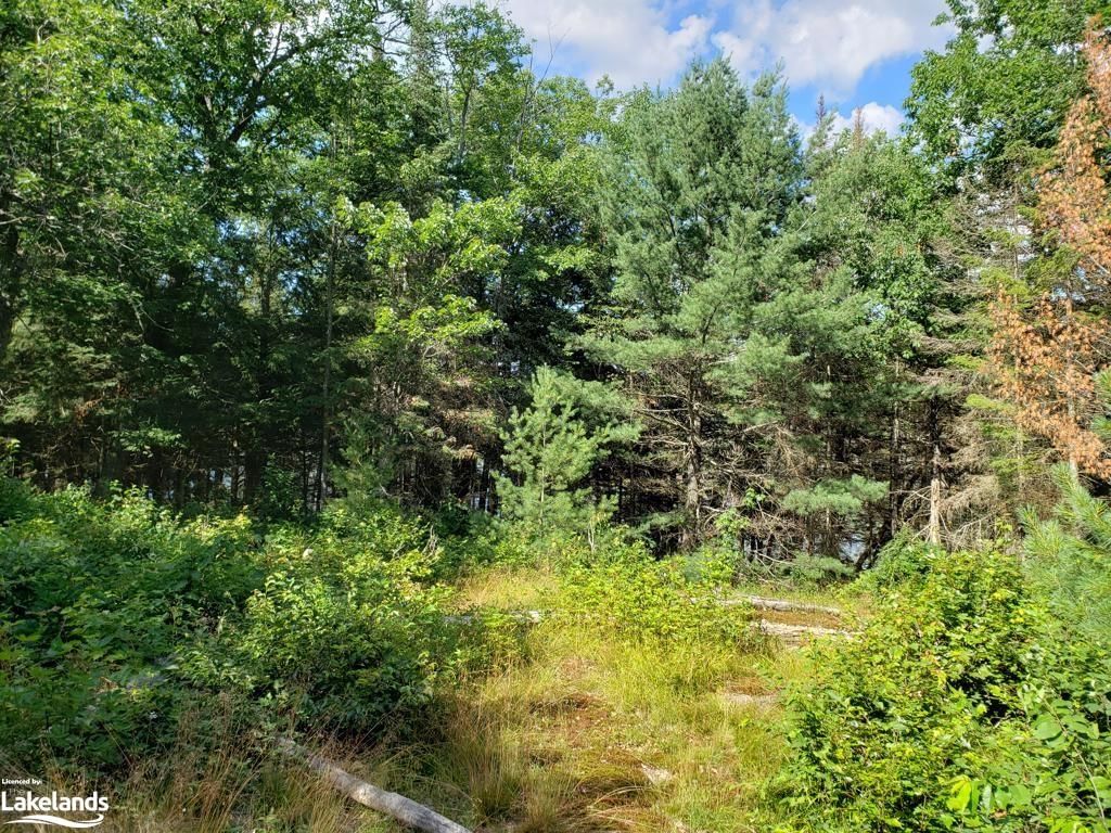 Photo 2 of PART LOT 27 Concession 1, McKellar — HOMEH