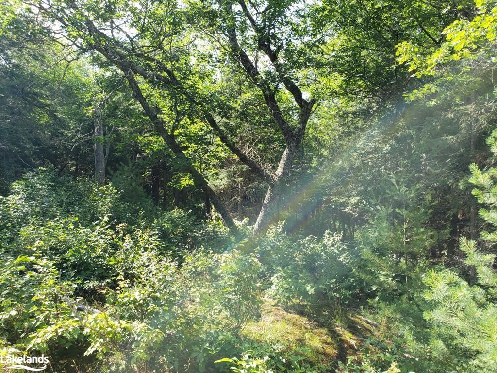 Photo 3 of PART LOT 27 Concession 1, McKellar — HOMEH