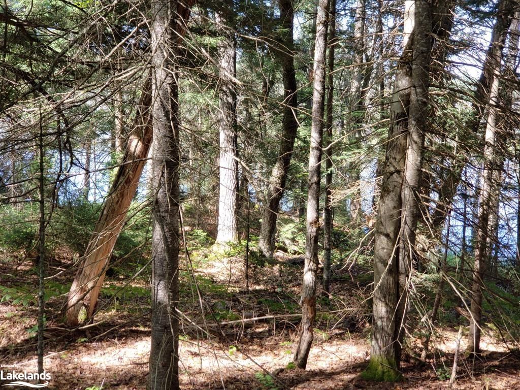 Photo 4 of PART LOT 27 Concession 1, McKellar — HOMEH