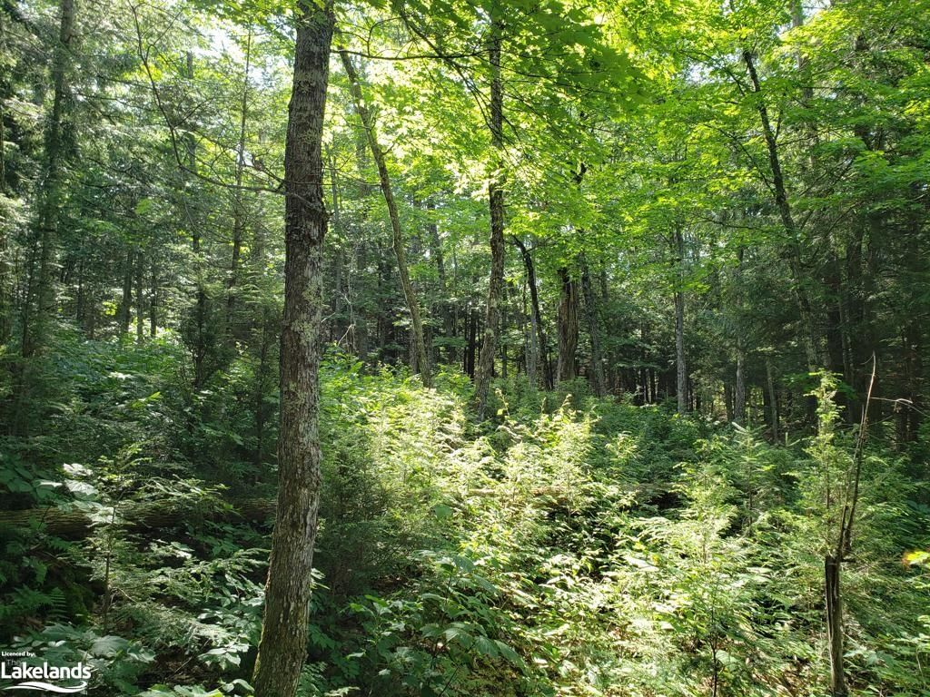 Photo 5 of PART LOT 27 Concession 1, McKellar — HOMEH