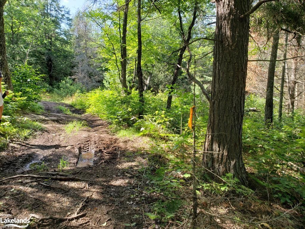 Photo 6 of PART LOT 27 Concession 1, McKellar — HOMEH