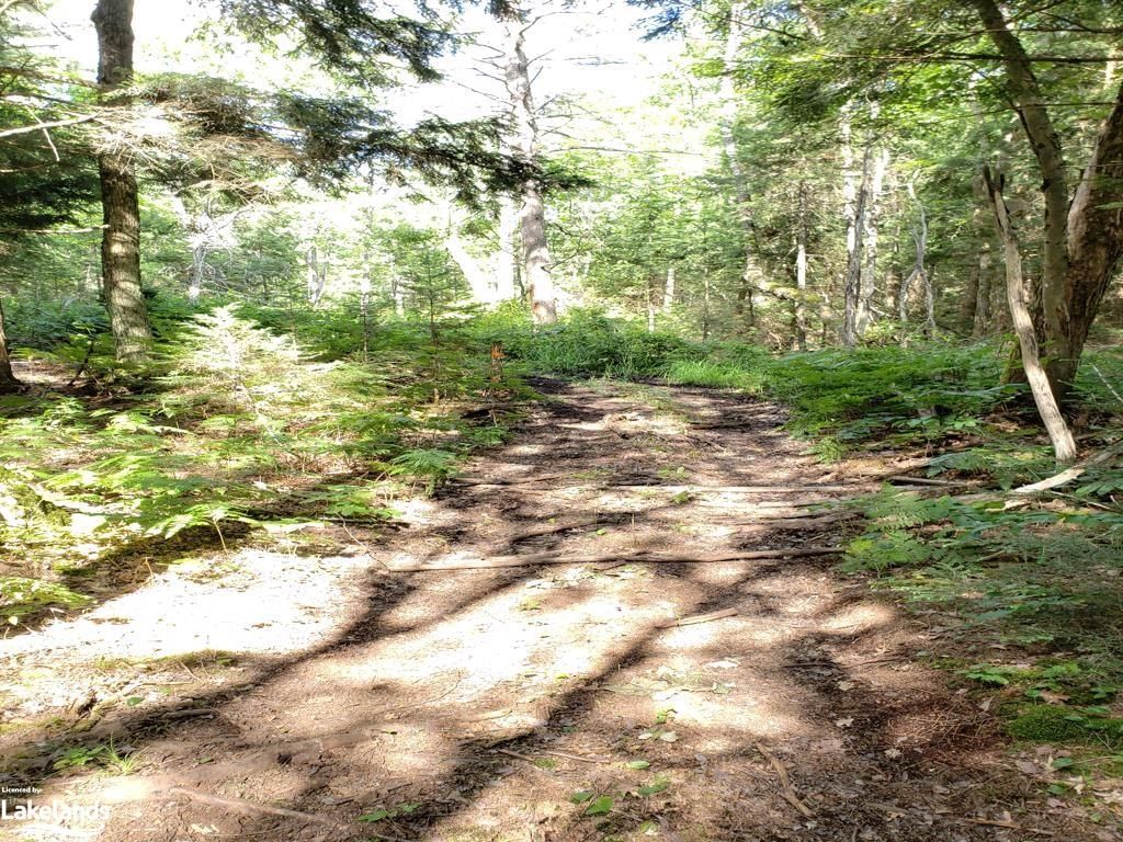 Photo 7 of PART LOT 27 Concession 1, McKellar — HOMEH